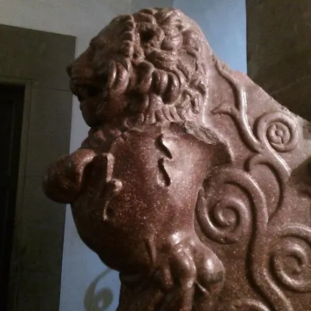 Palazzo Capponi Alle Rovinate דירה *