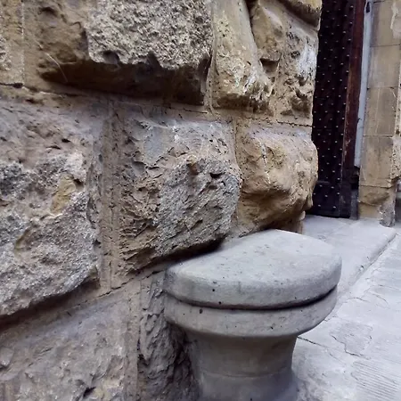 Palazzo Capponi Alle Rovinate Apartment Florence